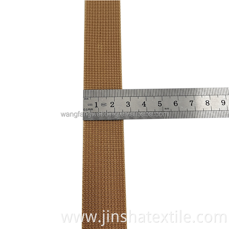 High Quality Colorful Webbing Belt 25mm Nylon Webbing For Dog Collar webbing strap